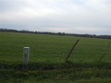 0 Rt 1 unit 118-3 11215344, Weaubleau, MO 65774 - photo 4