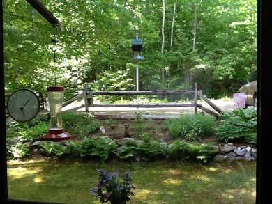 View from Kitchen Window