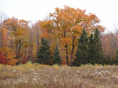 On State Highway 86, Tomahawk, WI 54487 - photo 5