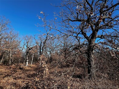 0 W 155th St N, Skiatook, OK 74070 - photo 2