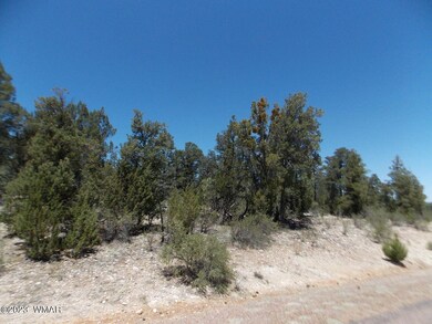 3326 Sawmill-Pic5