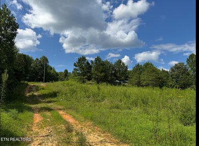 351 White Plains Rd, Vonore, TN 37885 - photo 5