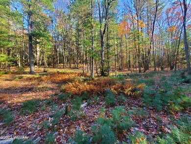 Wooded lot