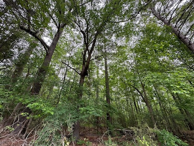 Lot 3a Elberton Hwy, Lincolnton, GA 30817 - photo 5