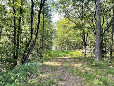 0 Main St, Mantee, MS 39751 - photo 2