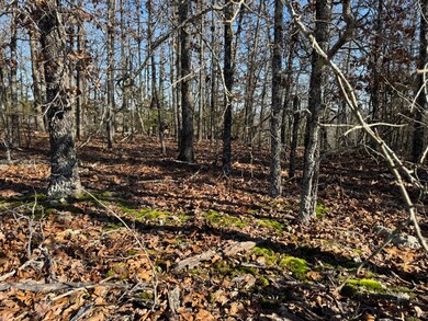 60A Tablerock Rd, Evening Shade, AR 72532 - photo 7