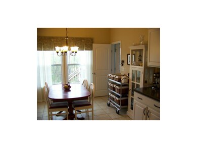 Light filled kitchen