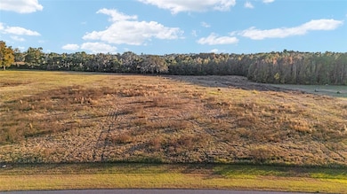 TBD SE 28th Terrace Rd, Ocala, FL 34480 - photo 7