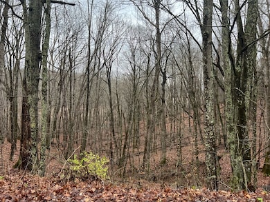 0 Wildcat Hill Rd unit 83419, Gap Mills, WV 24941 - photo 6