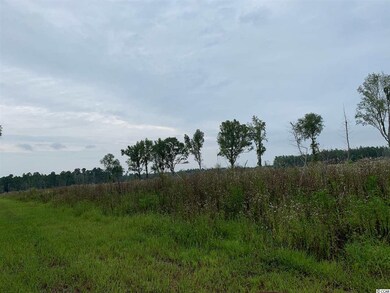 65 acres Sims Reach Rd unit Williamsburg County, Kingstree, SC 29556 - photo 5