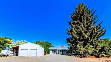 640 3/4 S Grand Mesa Dr, Cedaredge, CO 81413 - photo 4