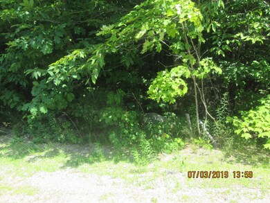 0 Milton Mills Rd unit 1423079, Acton, ME 04001 - photo 3