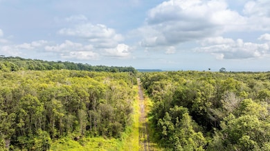 18-1854 Kuahiwi Rd, Mountain View, HI 96771 - photo 6