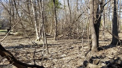 View to the North - along the West lot line - take