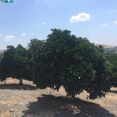 28810 Avenue 140, Porterville, CA 93257 - photo 4