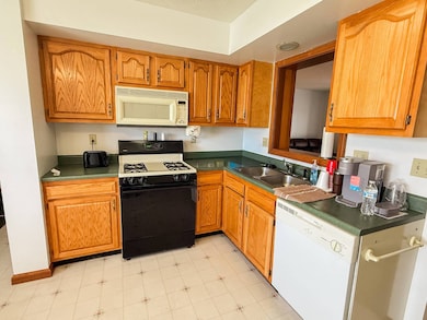 746 Days Dr unit 4, Sutton, WV 26601 - photo 3