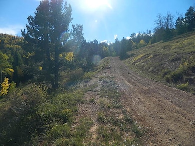 483 W Kokopelli Loop, Brian Head, UT 84719 - photo 5