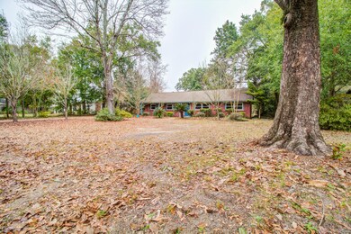 Front Yard (3)
