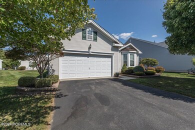 02-10MountainStreamCt0002