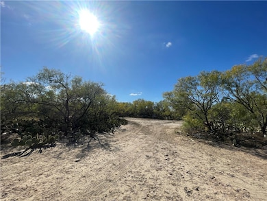 10 acres Cr 421, Christine, TX 78012 - photo 3