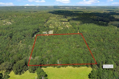 6.4 acres, TBD Narcissus Rd, Ore City, TX 75683 - photo 6