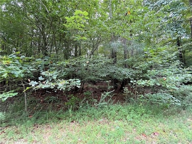 10.88 AC Beech Creek Rd, Gloucester, VA 23061 - photo 7