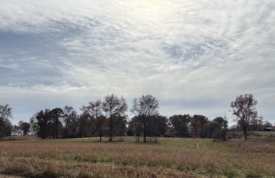 0 Halltown Rd, Portland, TN 37148 - photo 4