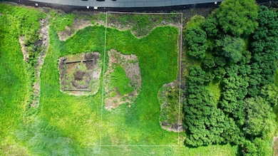 81-6551 Mamaka Place, Kealakekua, HI 96750 - photo 5