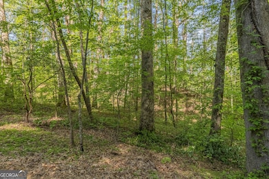 0 Ber Weg unit 10605993, Helen, GA 30545 - photo 7