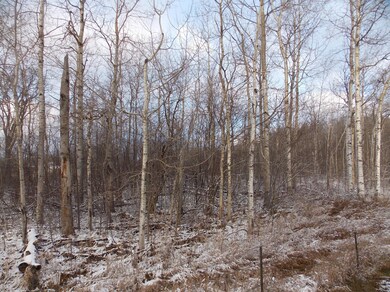 Peaceful area to camp or build.