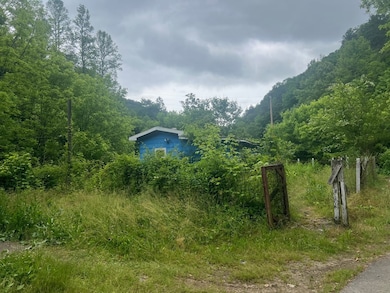 918 Spurlock Fork, Dana, KY 41615 - photo 3