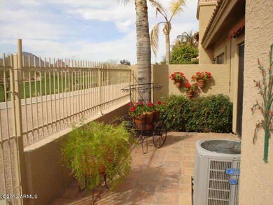 Back Patio View