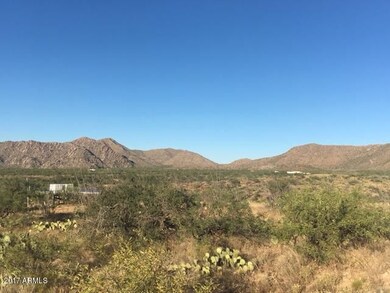 IMG_4870