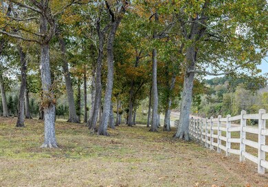 250 Farm To Market 3128, Coldspring, TX 77331 - photo 5