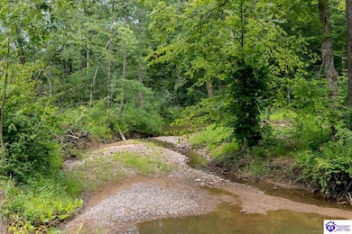 Tract 14 Cook Ln, Cromwell, KY 42333 - photo 7