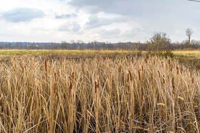 1600 Clear Creek Rd, Nicholasville, KY 40356 - photo 4