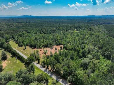 0 Coaling Rd unit 24403018, Sylacauga, AL 35151 - photo 5