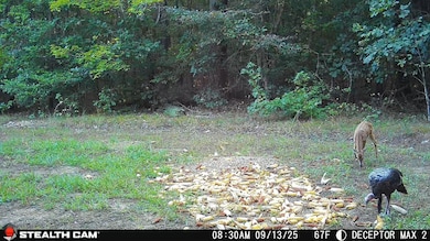 1354 Bryantown Rd, Rich Square, NC 27869 - photo 6