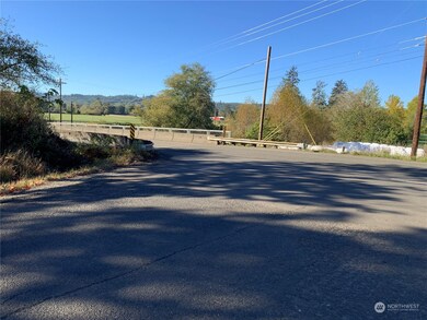 1121 Willapa Rd, Raymond, WA 98577 - photo 5