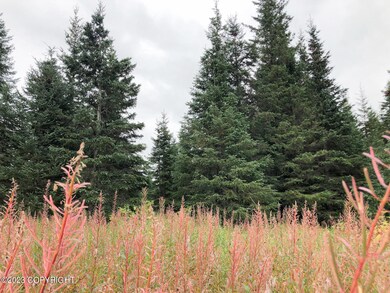 W2 Alaskan Wildwood Ranch(r), Nikolaevsk, AK 99556 - photo 6