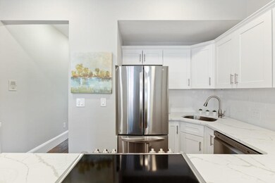 33 Worcester St unit 3, Boston, MA 02118 - photo 7