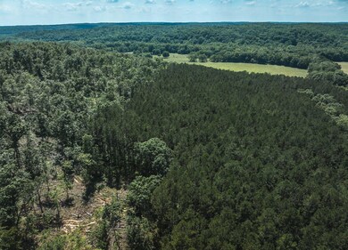 0 Highway B unit 11555617, Ellington, MO 63638 - photo 6