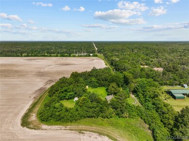 21500 SW 33rd St, Dunnellon, FL 34431 - photo 7