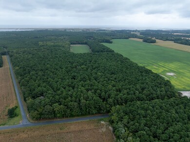 0 Whites Neck Rd unit 140 65176, Parksley, VA 23421 - photo 6