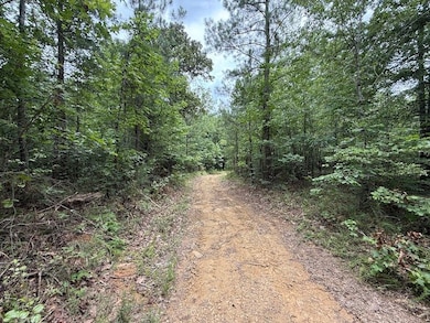 Co Rd 700 unit LotWP001, Cedar Bluff, AL 35959 - photo 7