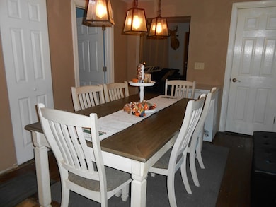 56 Mechanic St, Rouseville, PA 16344 - photo 3