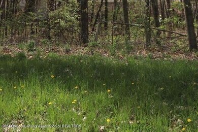 2645 Navigator Ln, Lansing, MI 48911 - photo 7