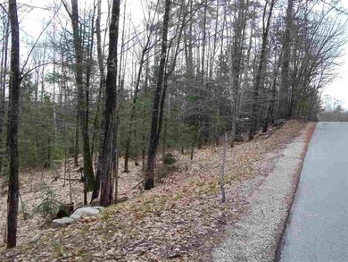 0 Robbins Hill Rd, Chatham, NH 03813 - photo 5