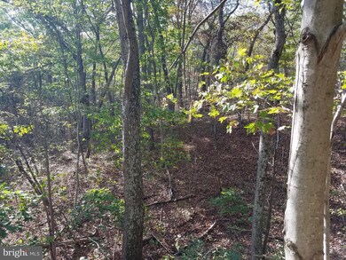 1 Apple Tree Ln, Moorefield, WV 26836 - photo 6