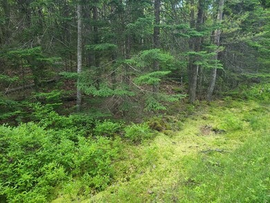 14.14B Cove Side Way, Westport Island, ME 04578 - photo 5